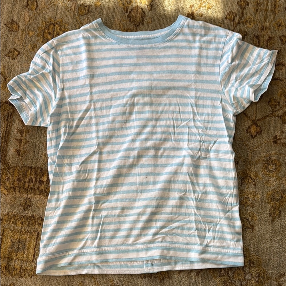 Women’s Striped Blue and White T-Shirt